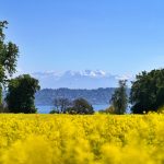 Blogging for Business