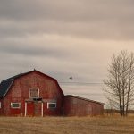 Master the Art of Building a WordPress Website: A Guide build your website with wordpress