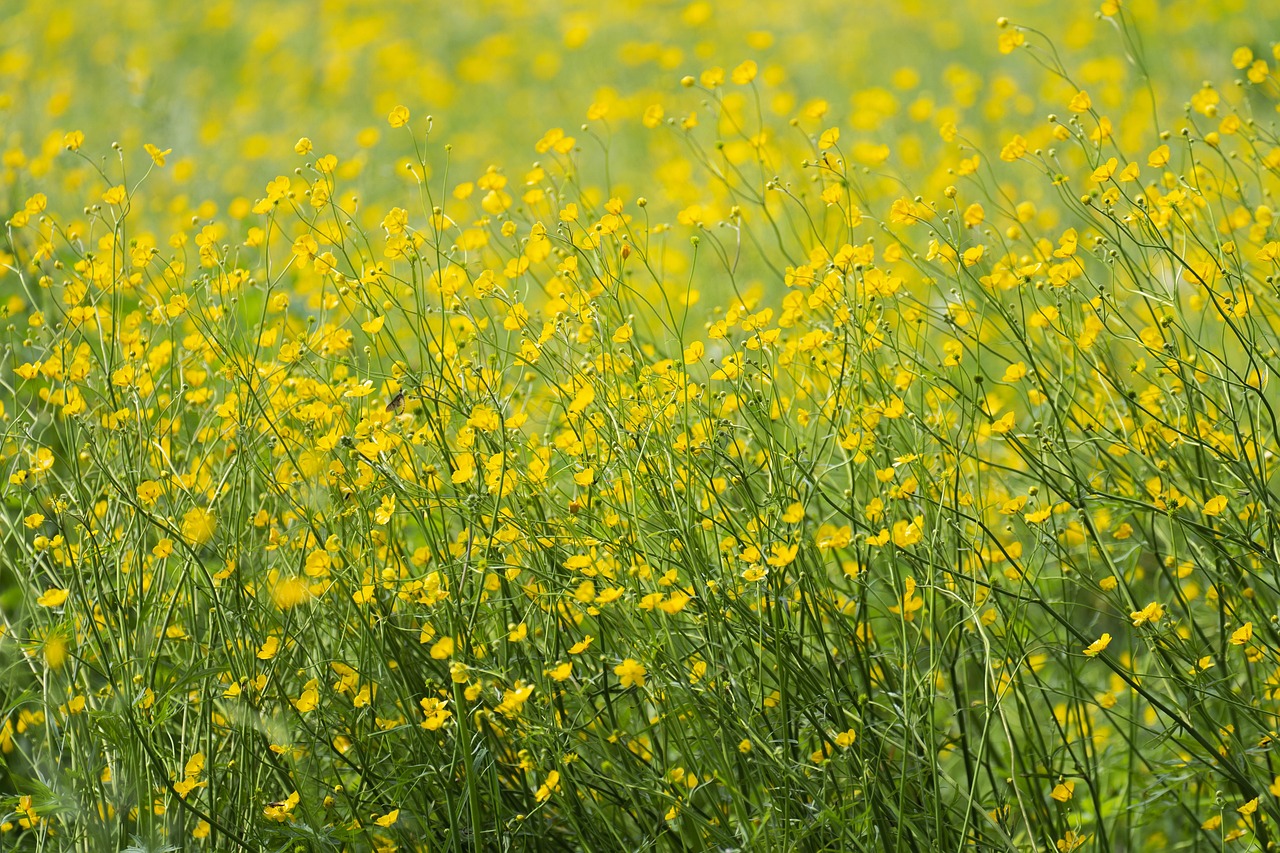 Blogging for Business – Image 2