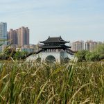 Learn to Construct Your Personal Website using WordPress build your website with wordpress