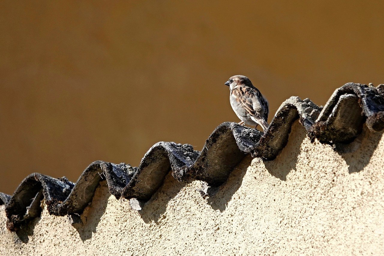 build your website with wordpress – Image 1