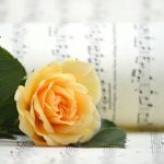 Blogging for Business