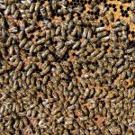 How Strategic Blogging Boosts Growth for Modern Businesses Blogging for Business