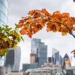 Blogging for Business