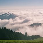 Blogging for Business